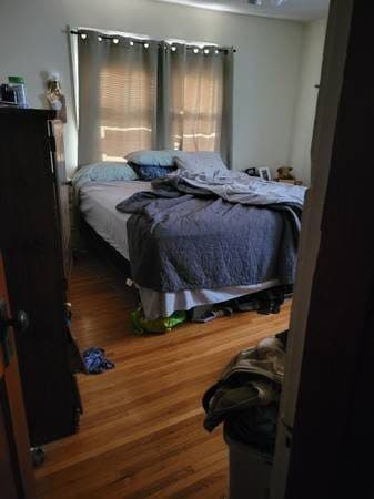 Looking for Professional Roomate or Grad Student 2