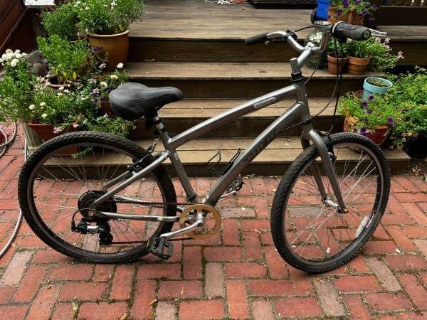 Trek Navigator 1.0 16.5 inch bicycle 1