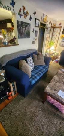 Living room couch and love seat 2