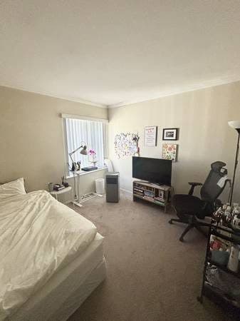 Private bedroom in shared 3BR/2BA apartment near Downtown Redwood City 1