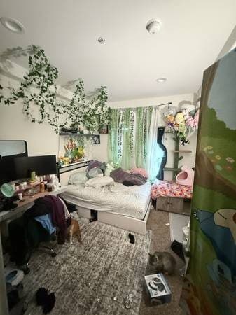 1/2 of 2 Bedroom 2 Bathroom Apartment 3