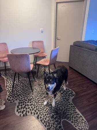 $1,700 / Private Bed/Bath in 2 BR/2BR Apt with Amenities (NOHO) 2