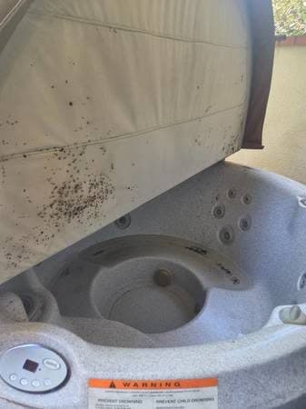 Hot tub that needs cleaning 2