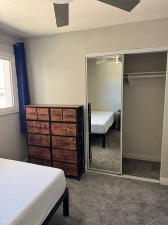 Private Furnished Room for Rent 2