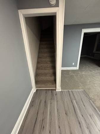 nice 4 bedroom house updated for imediate move in 2
