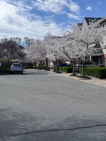 Spacious 3 Bed, 2.5 Bath Townhouse – Ideal for Students & Professors | 2
