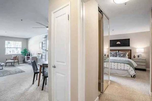 >> CONTEMPORARY ARCHITECTURAL LIVING // HARDWOODS // PET FRIENDLY << 2