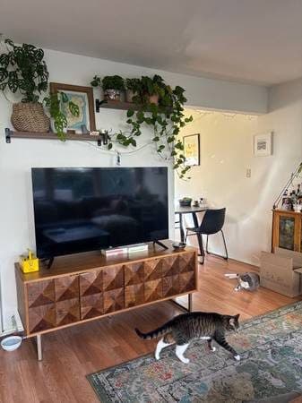 6-Week Sublet for sunny 2BR Los Feliz Apartment 3