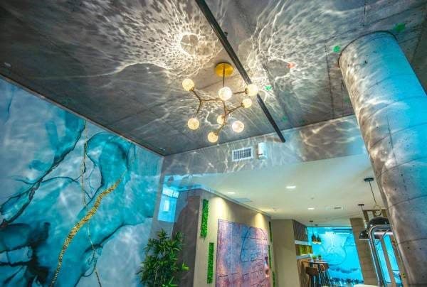 Summer Hammocks, Quartz Countertops, Stainless Appliances 3