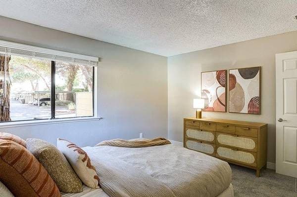 Luxurious 2 BR Retreat with Patio, Near Public Transit 3