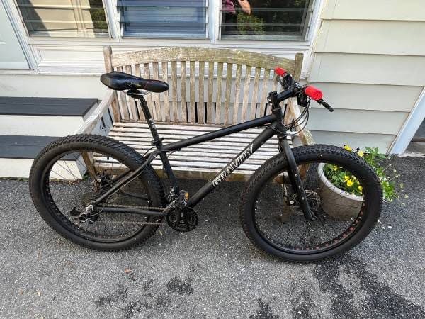 Plus Bike 1