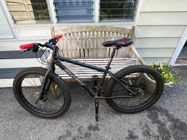 Plus Bike 2