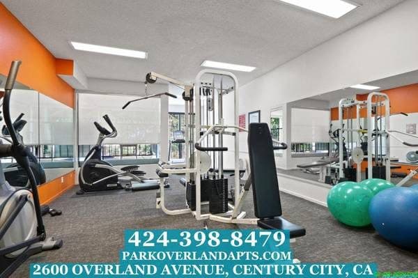 1 Bedroom Suite in Culver City, One Month Free, Renovated Units 1