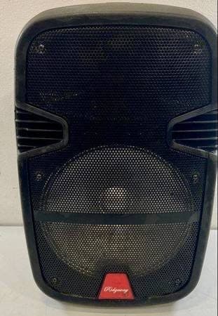 Ridgeway QS-1285BR 12" portable bt dj speaker 1