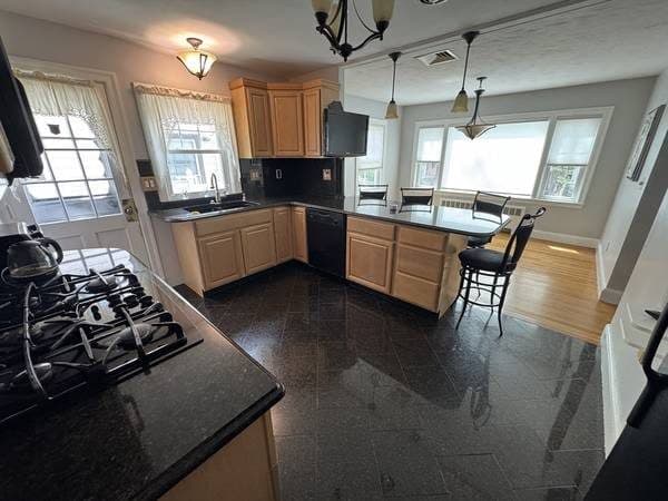 South Brookline Single Family Garage Private Yard 3