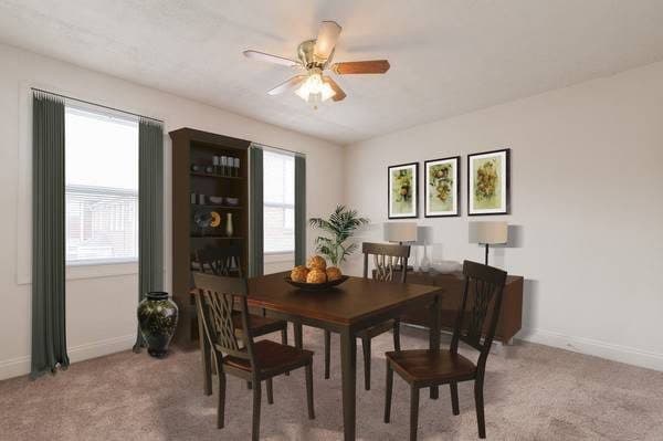 Hardwood floors, Laundry Facilities, Ceiling Fans 3