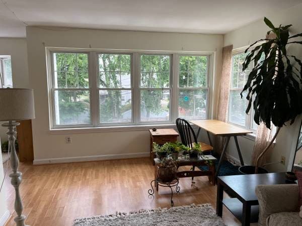 Seeking Friendly, Peaceful Female for Cooperative Home 3