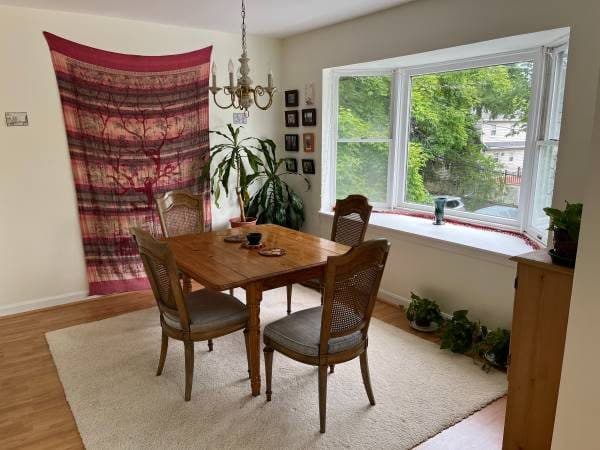 Seeking Friendly, Peaceful Female for Cooperative Home 1
