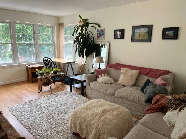 Seeking Friendly, Peaceful Female for Cooperative Home 2