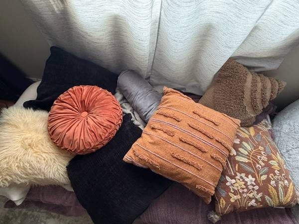 Assorted Fancy Pillows 1
