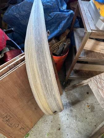 4 feet long palm branch for art project 1