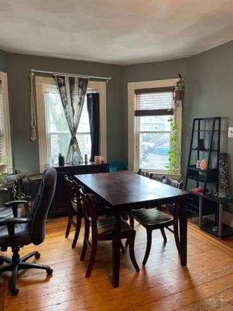 Quiet Room in 2BR Davis Square Apartment for Sept 1st 1