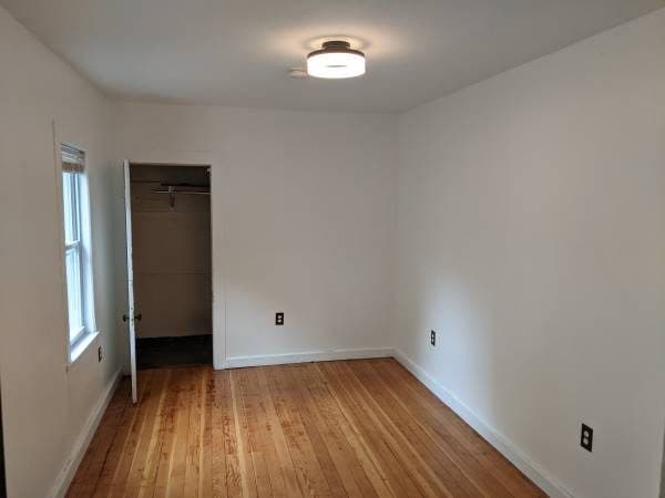 Downtown room for rent 1