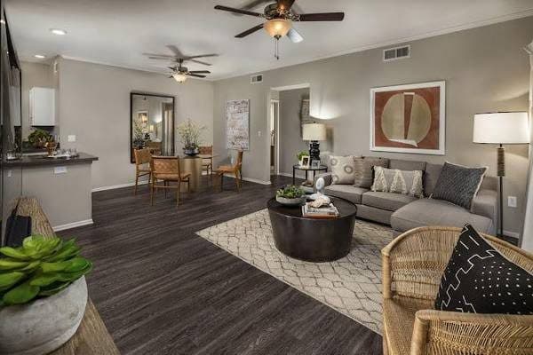 TMLP 14-mo. | Pets Welcome, Designer Cabinetry, Pool & Spa 2