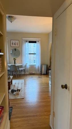 Harvard Sq 1 Bed, All Utilities Included 3