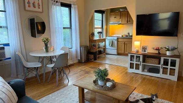 Harvard Sq 1 Bed, All Utilities Included 1