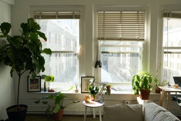 Sunny Downtown LA Loft, short term 9/4-9/17 3