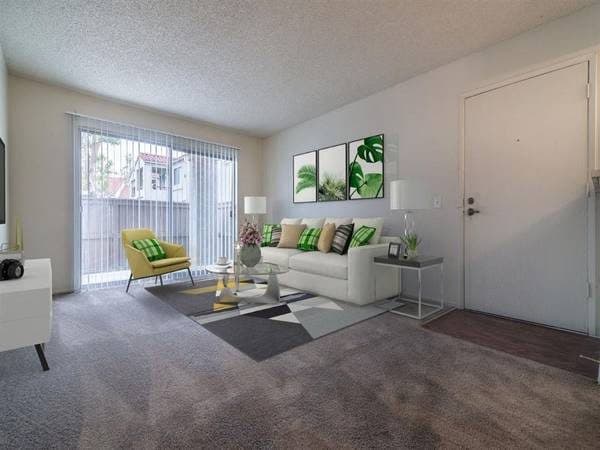 1BD 1BA, Window Coverings, Pool 1