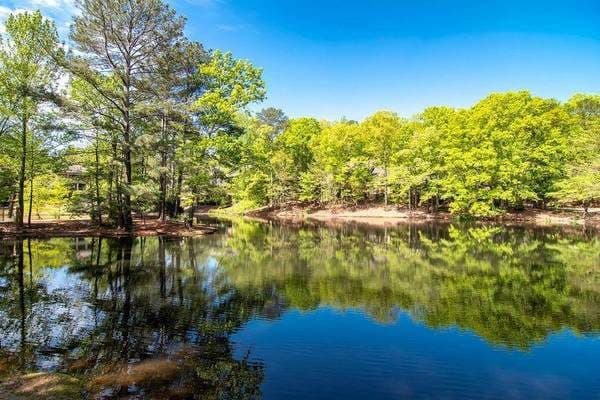 Live Easy! 2 BR-Minutes to UGA, Gated & Relaxing Community 3
