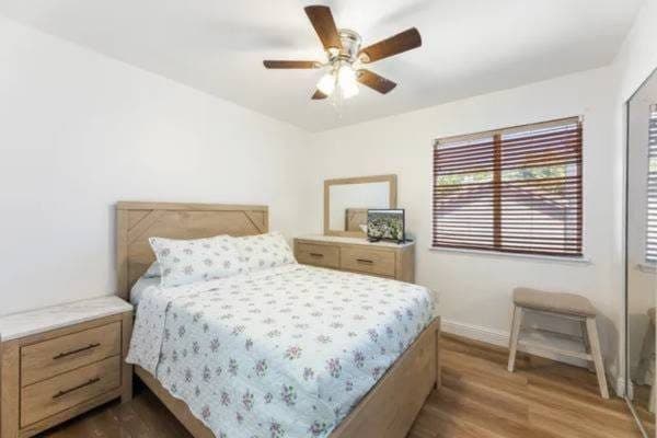 Private Bedroom for Rent in New Haven 1