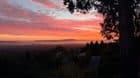 Montclair, Oakland Roommate Wanted 1