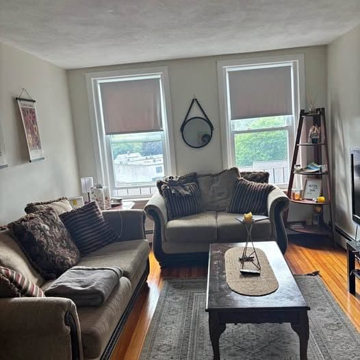Living Room Furniture 1