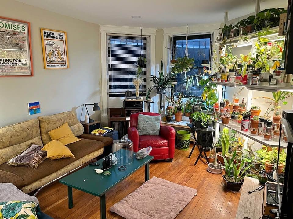 5 Beds 2 Baths - Apartment 1