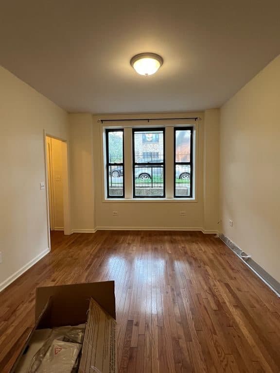 1 BR for rent — 3038 S Canal St #1BF, Chicago 3