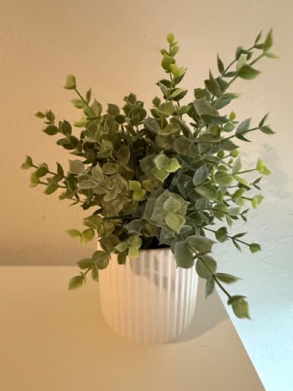 5 BR for rent — 2201 N Shields Dr Room A, Austin 1