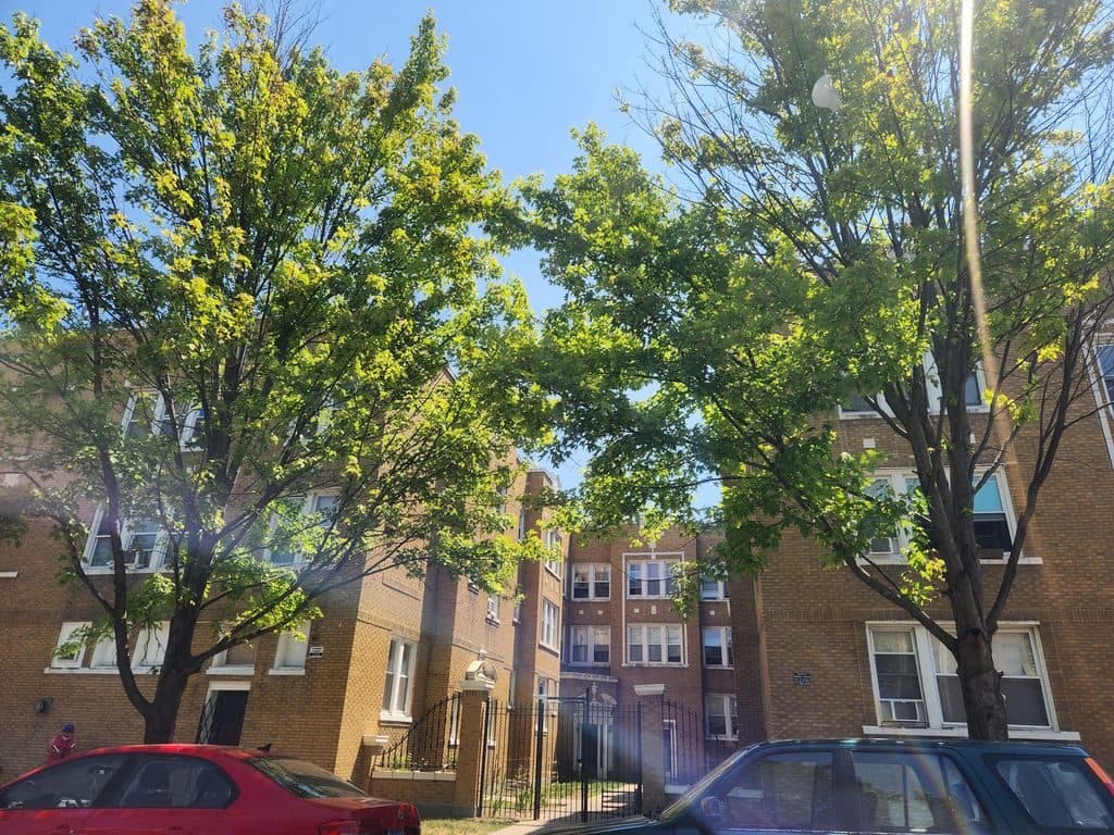 Studio for rent — 4747 N Monticello Ave APT 3B, Chicago 1