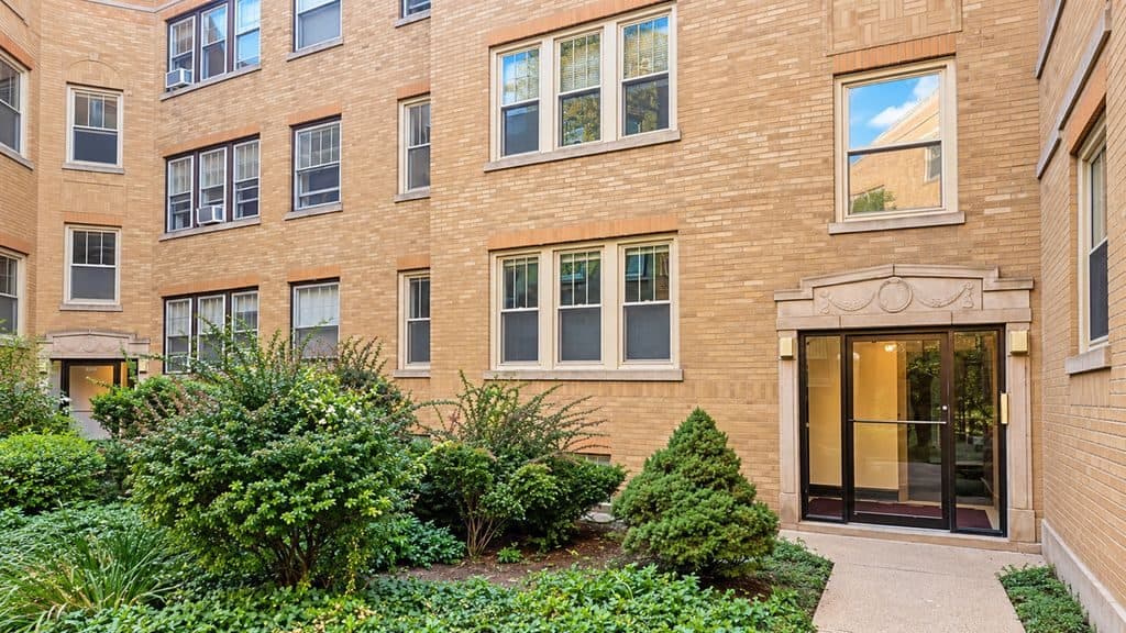 1 BR for rent — 905 W Altgeld St #1A, Chicago 1
