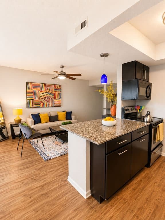 Studio for rent — 1500 Royal Crest Dr, Austin 1