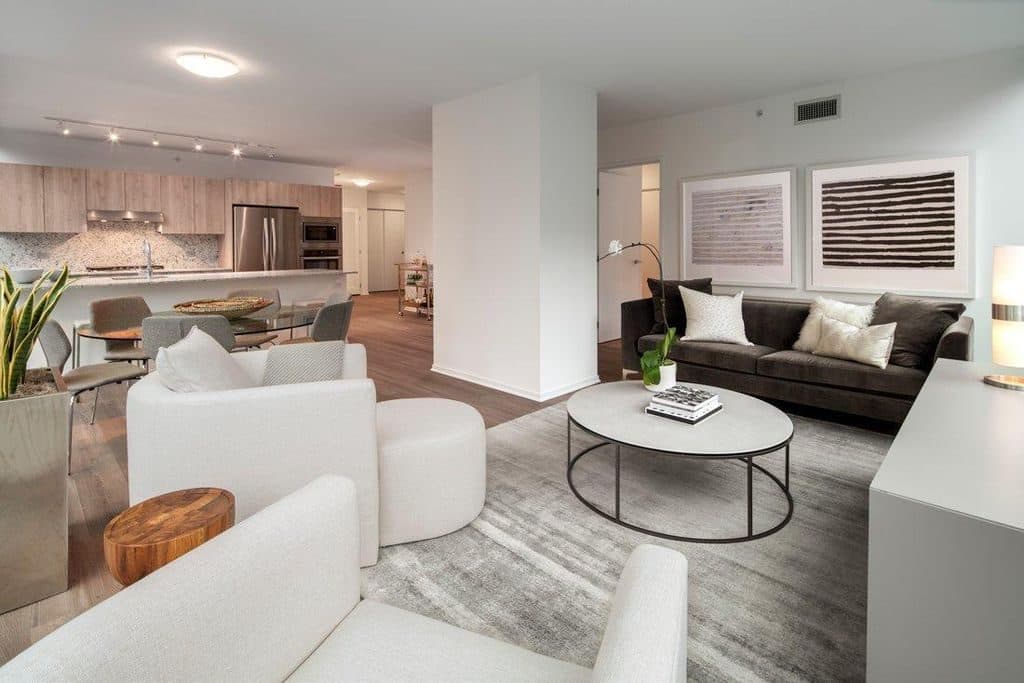 Studio for rent — 220 E Illinois St, Chicago 1