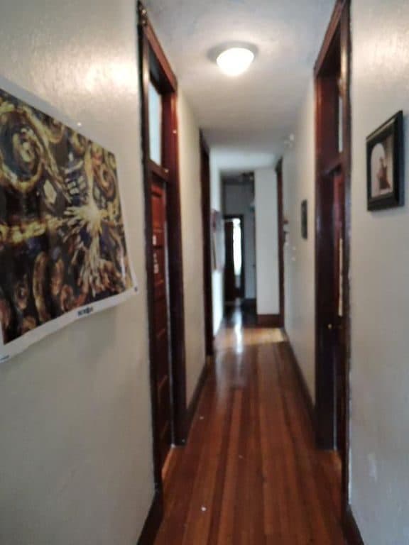 4 BR for rent — 35 Waverly St, Brighton 3
