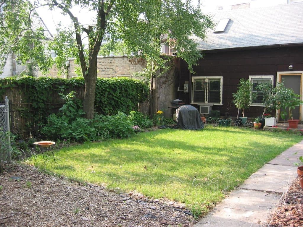 1 BR for rent — 1310 W Argyle St, Chicago 1