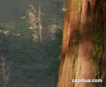 How To End A QuickTime Video Recording Guide - Capmus