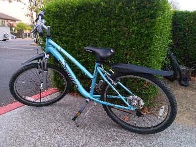 Schwinn Ranger 24" Mountain Bike w/ Fenders — perfect if standard bikes feel too big (~4'10"–5'4") 1
