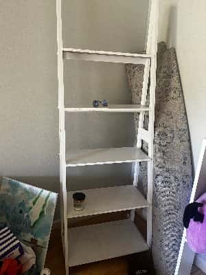 Ladder Shelf 1