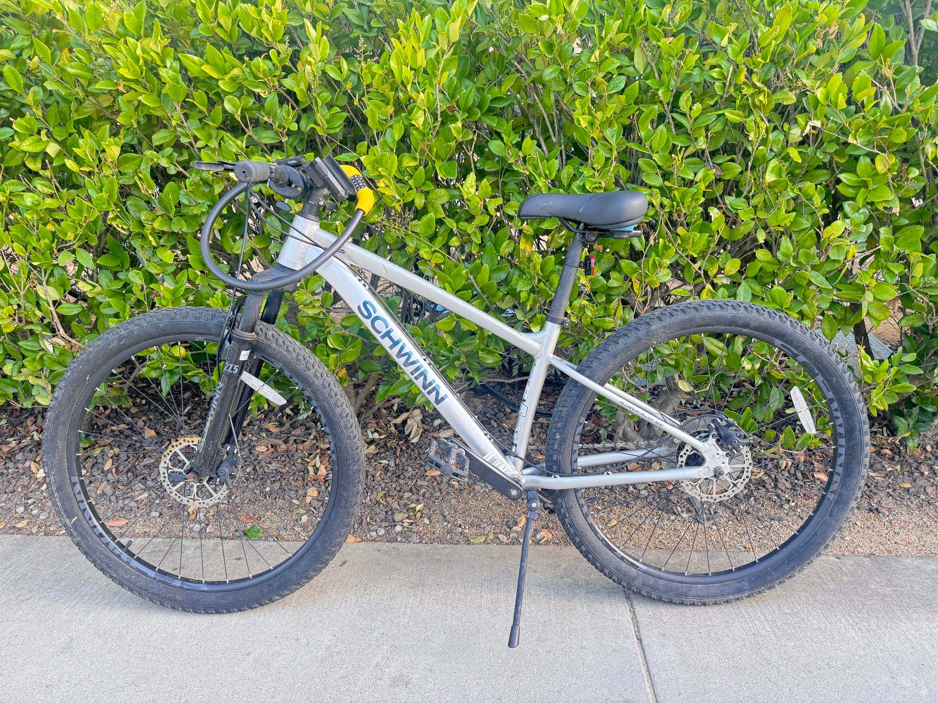 Schwinn bike and NIU e-scooter 1