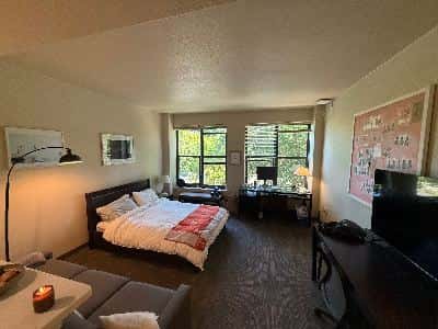 Studio on Campus Avail from mid-August to Mid-September (Dates Flexible) 1